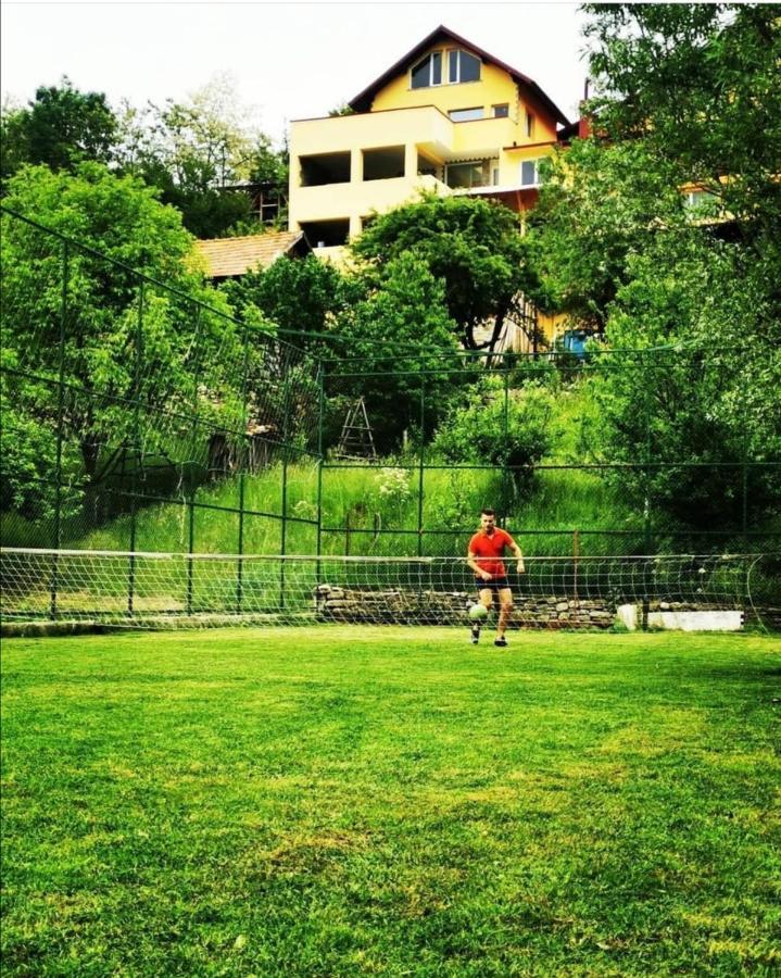 Doftana Apartaments Teşila エクステリア 写真