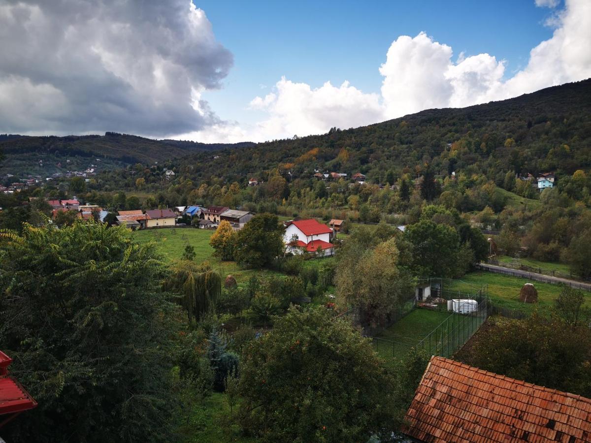 Doftana Apartaments Teşila エクステリア 写真