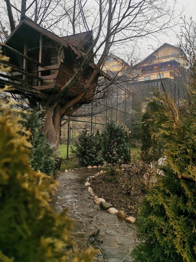 Doftana Apartaments Teşila エクステリア 写真