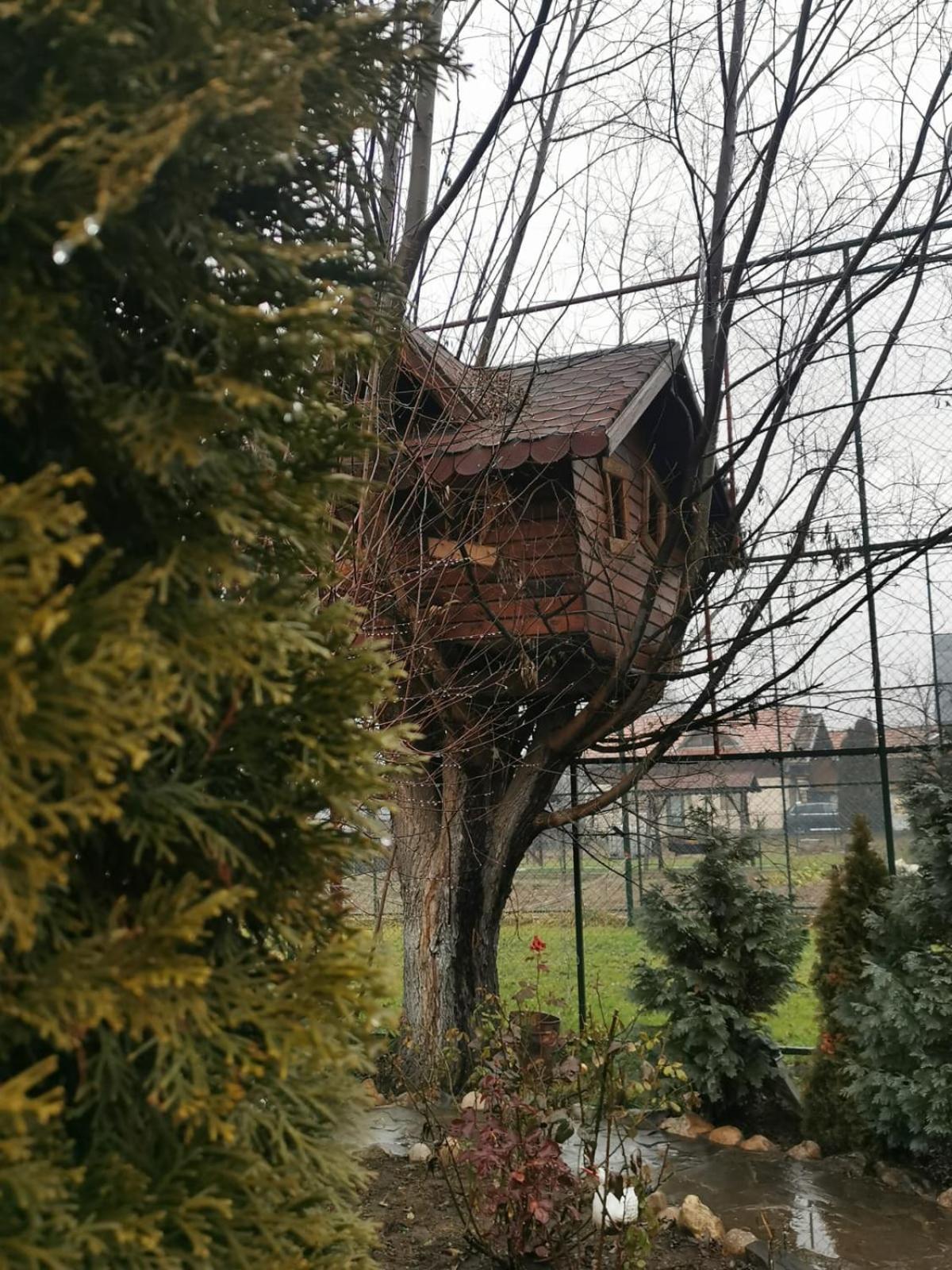 Doftana Apartaments Teşila 部屋 写真