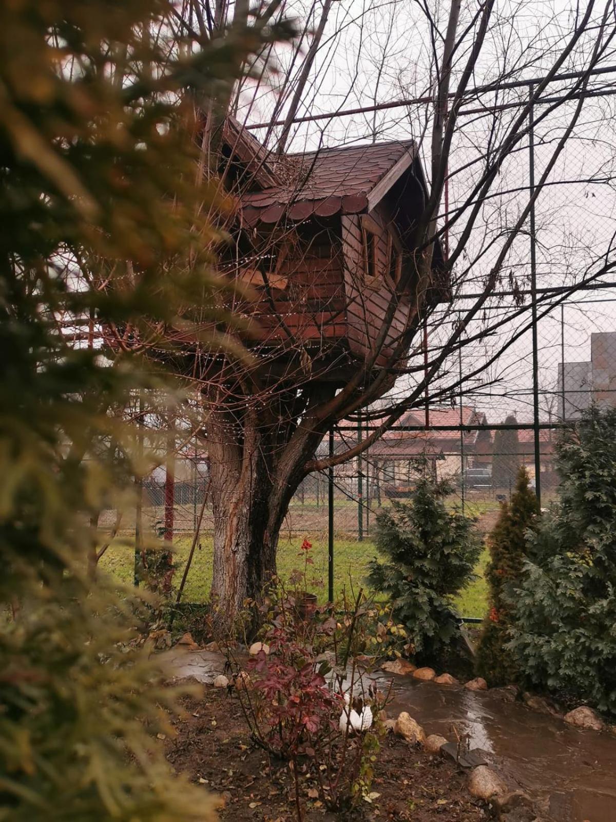 Doftana Apartaments Teşila 部屋 写真