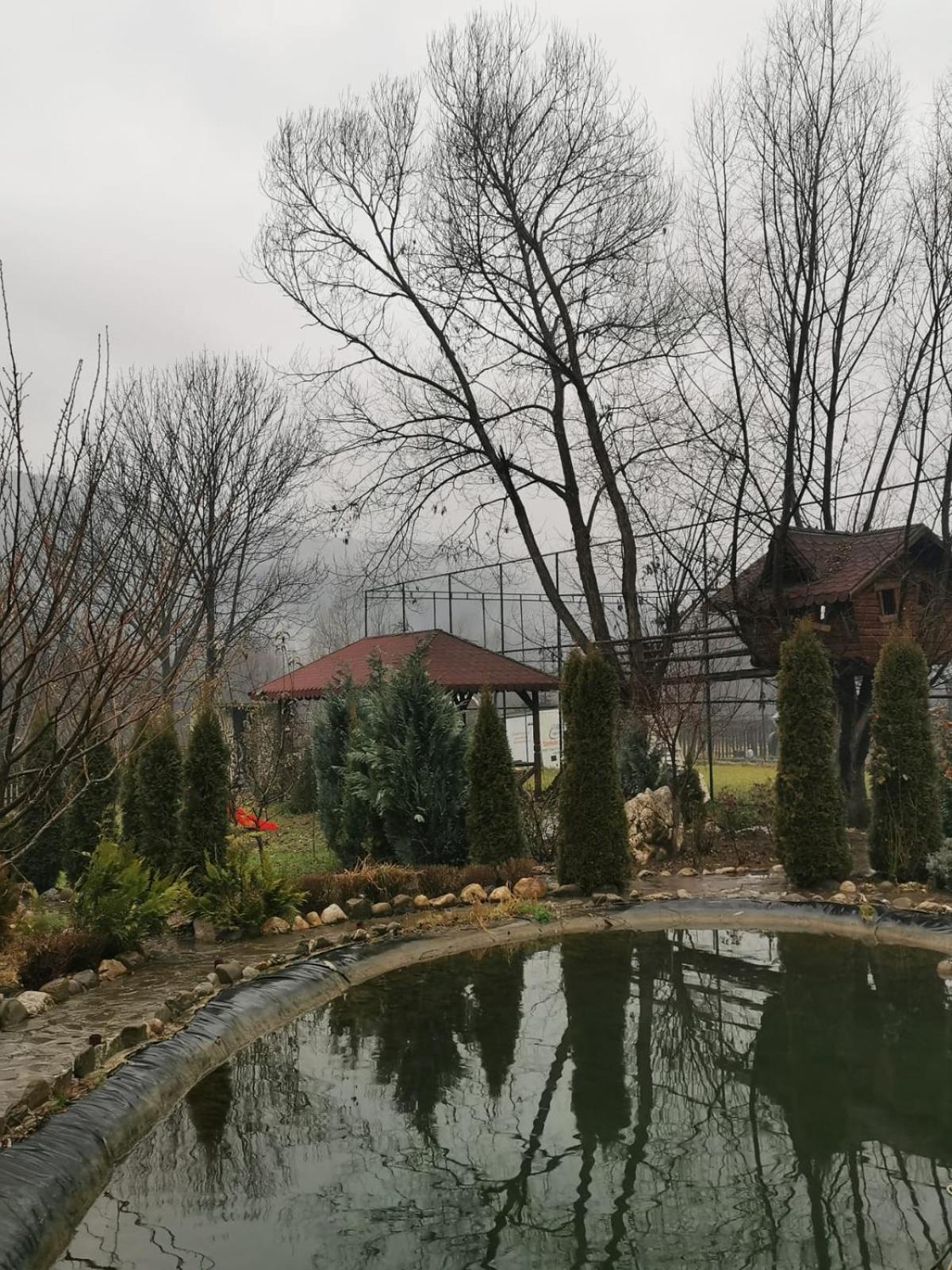Doftana Apartaments Teşila 部屋 写真