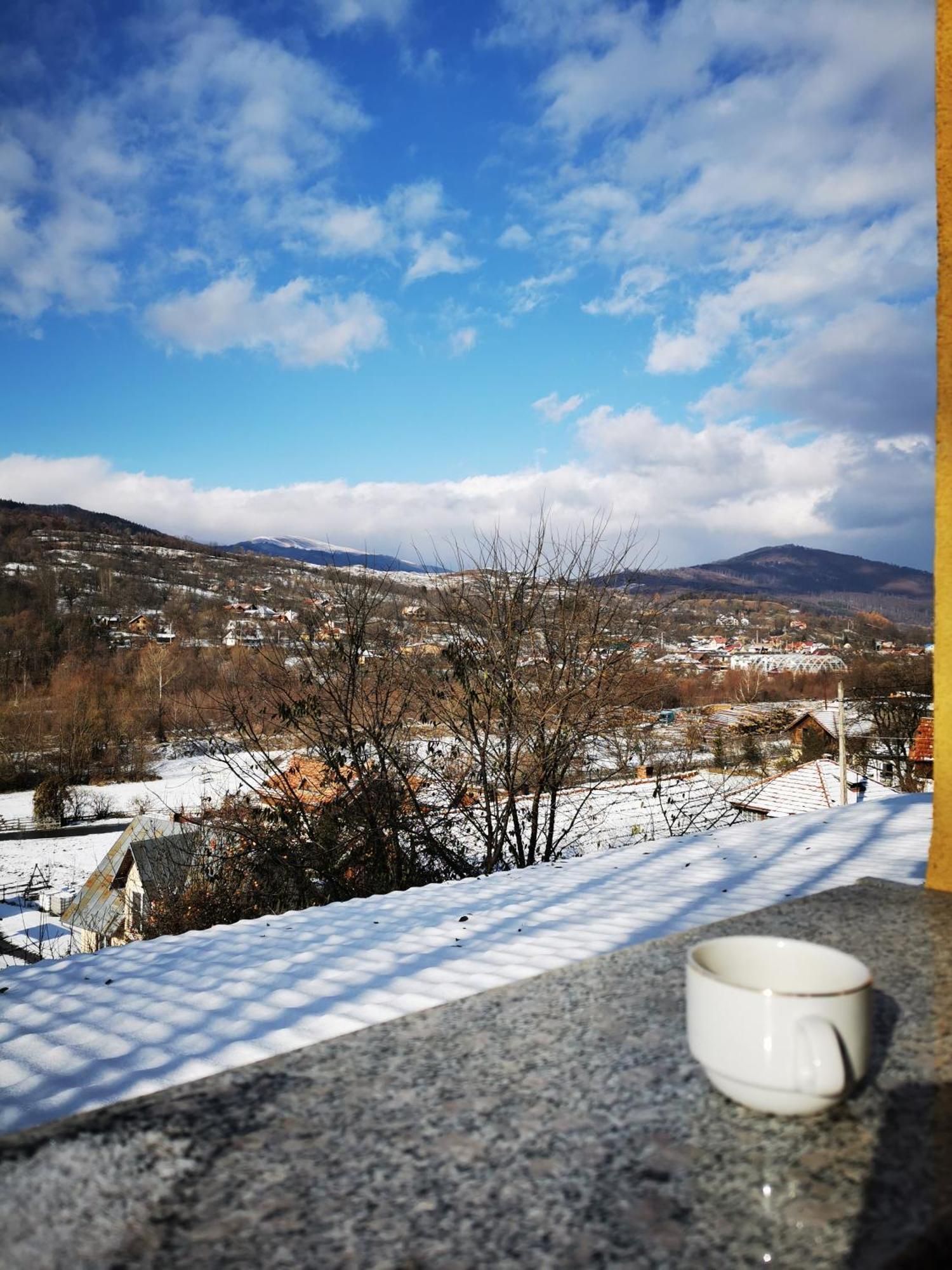 Doftana Apartaments Teşila 部屋 写真